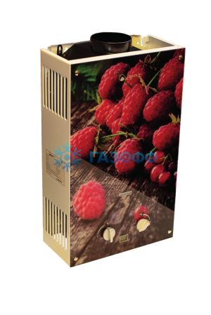 Газовый проточный водонагреватель WertRus 10EG BERRY